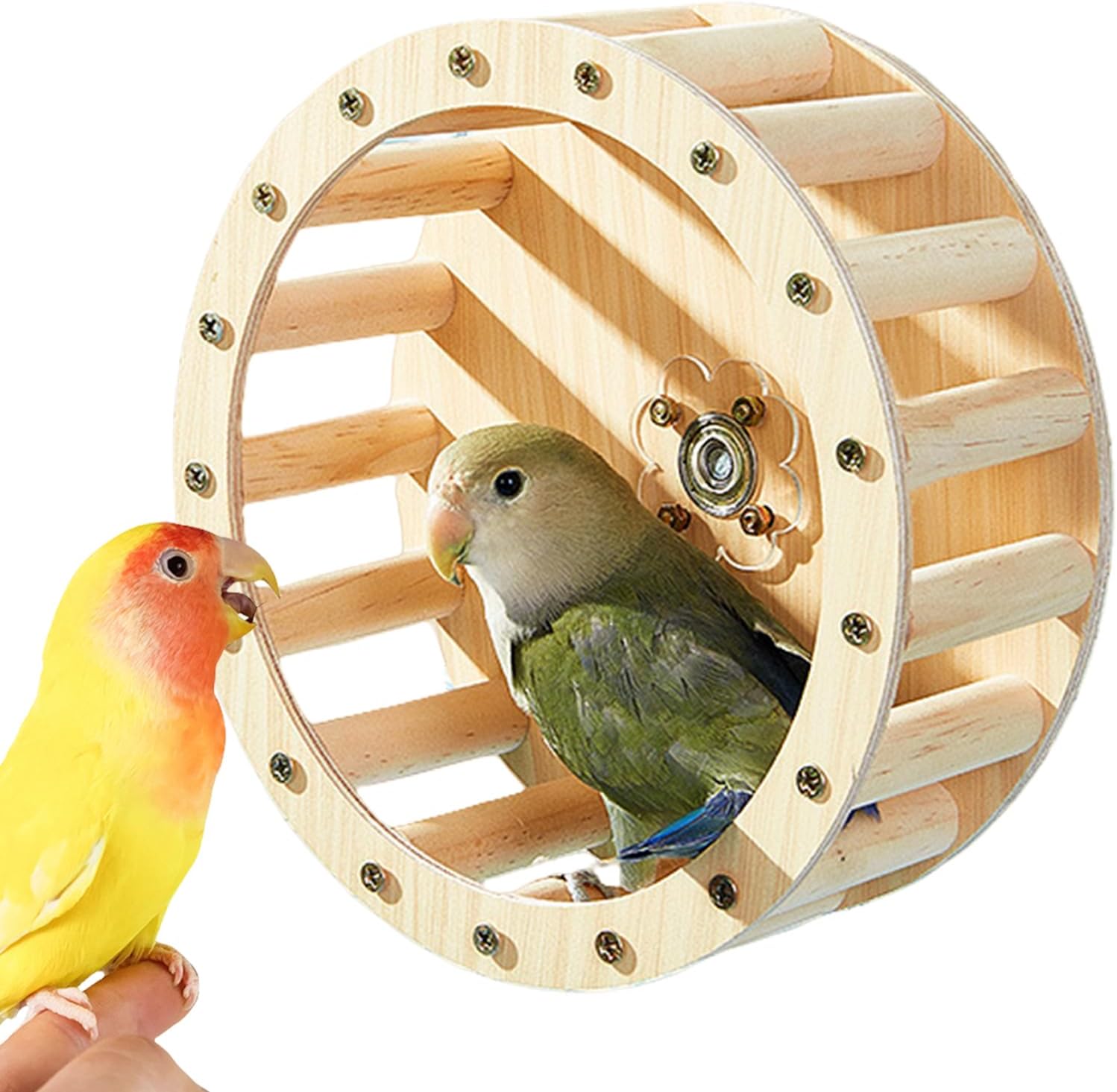 Image showcasing Wooden Hamster Exercise Wheel - Bird Rotating Perch Toy | Parrot ...