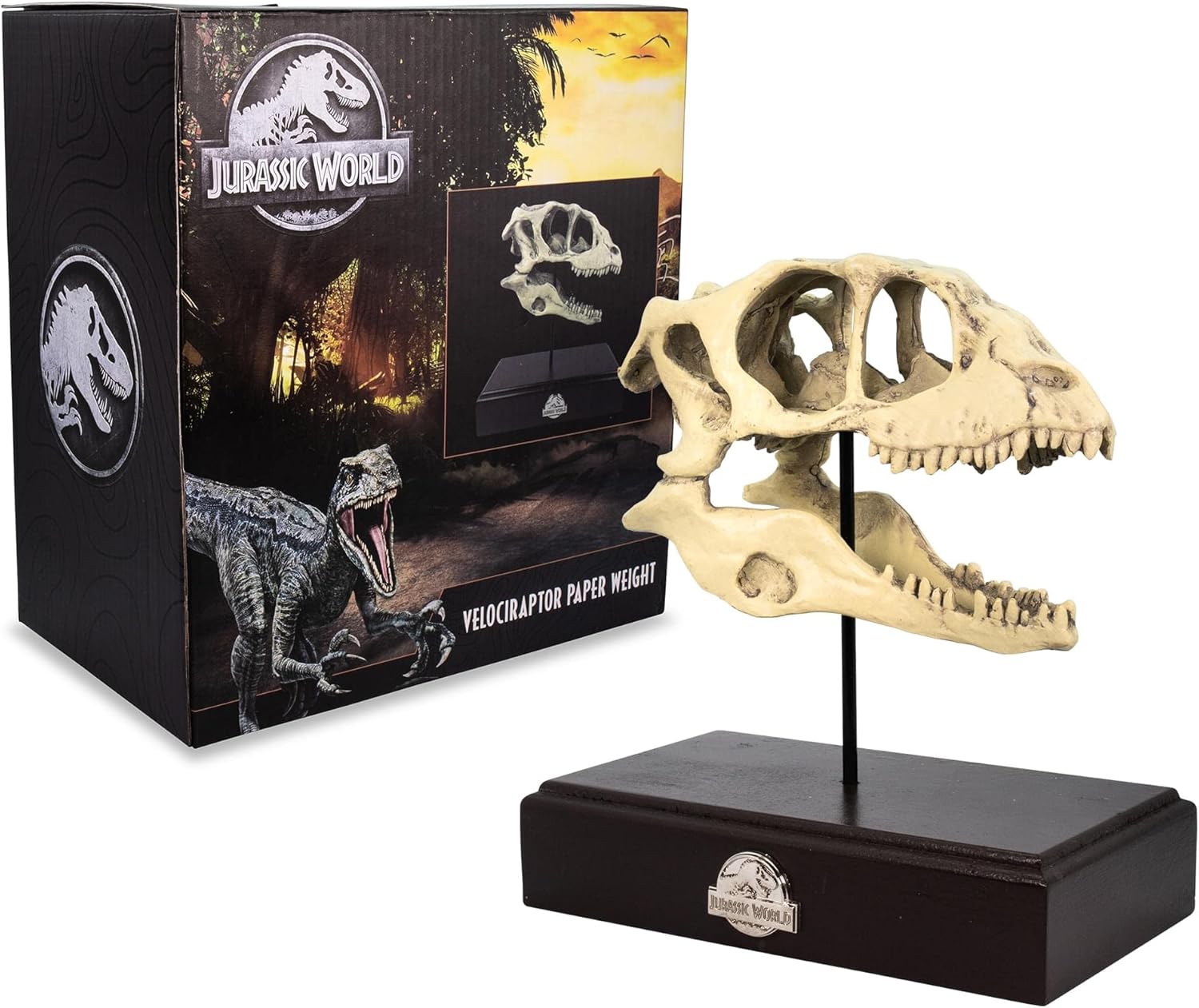 Toynk Jurassic World Velociraptor Skull 8-Inch Paperweight Replica | Nostalgic Dinosaur Decor for Office Desk
