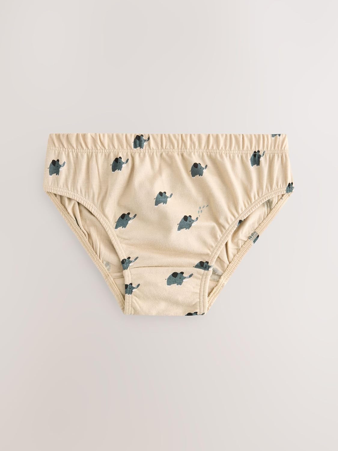 NEXT Boys Briefs 10 Pack