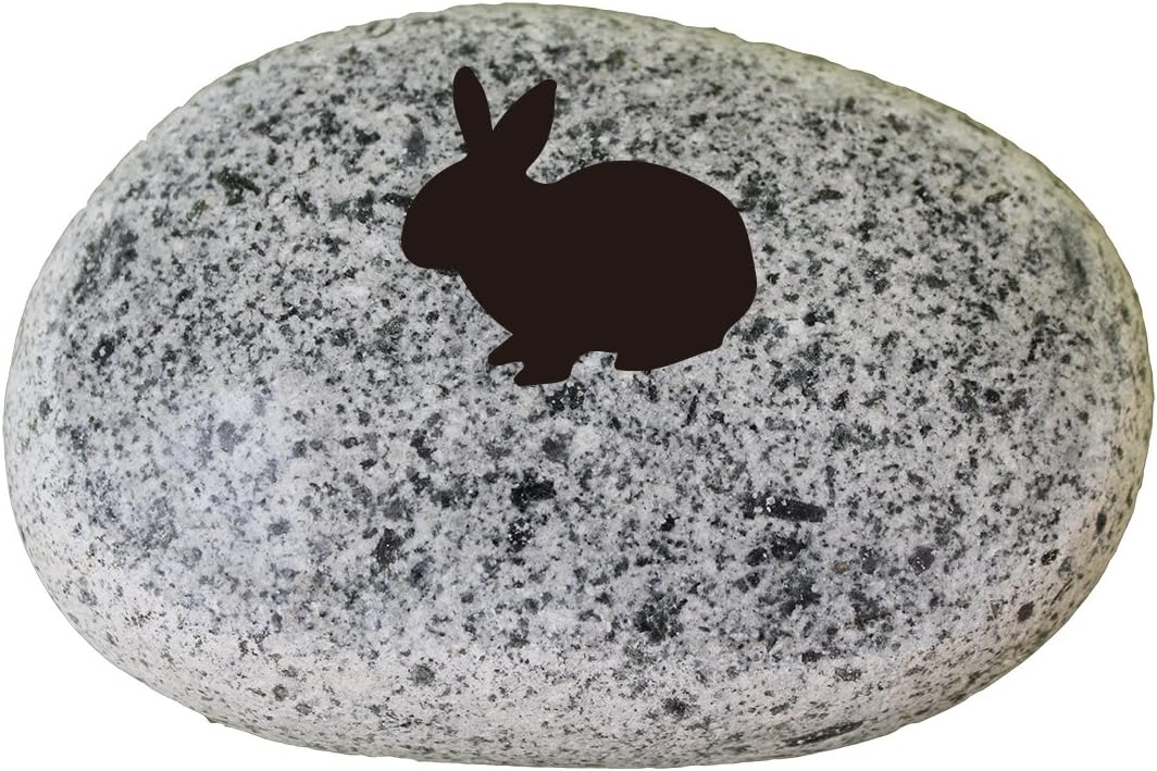 スペシャルset価格 メモリアル石材工業 ペット石碑八角形型 竹取物語シリーズ３ ポートレート付 カーネリアンオレンジ 特殊アクリル版 楽天市場 Drchibornfree Com