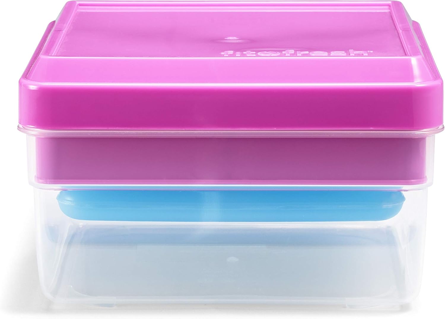 Fit & Fresh Divided Carrier with Removable Ice Lunch Pack, 5.75" x 6" x 3.625", Colors may vary