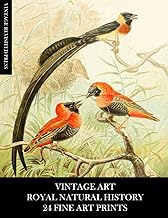 Vintage Art: Royal Natural History: 24 Fine Art Prints: Animal Ephemera for Collages, Decoupage, Framing, Junk Journals and Mixed Media