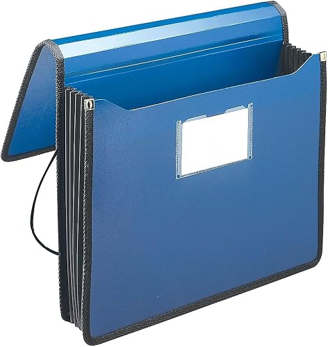 Expandable Accordion File Organizer