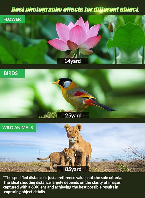 MIAO LAB High Power 60X HD Phone Telephoto Lens with 54" Extendable Tripod & Remote Shutter, Works with iPhone Samsung Pixel Android Any Smartphones by MIAO LAB - Image 4