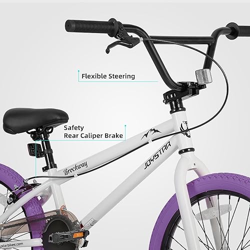 Miniatura 4 de JOYSTAR Brockway Freestyle - Bicicletas BMX para niños de 20 pulgadas y 24 pulgadas, bicicletas para niños de 6 a 14 años y ciclistas de nivel
