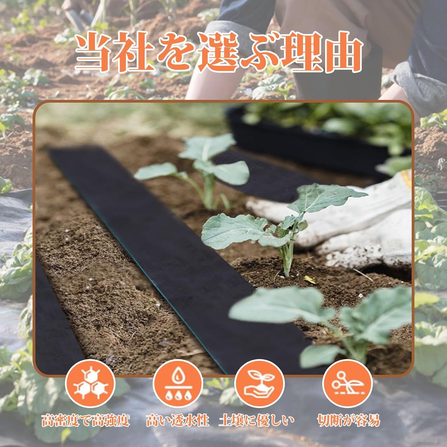 防草シート 2×100m 耐用年数3年 雑草対策防止 高透水 高