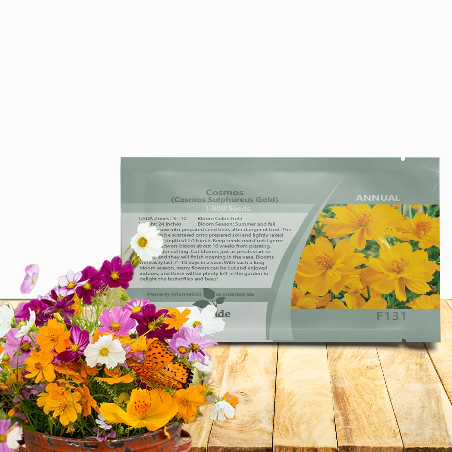 Outsidepride Gold Cosmos Sulphureus Seeds - 1000 Pcs Annual, Drought Tolerant & Pollinator Friendly, Flower Seeds for Planting w/Vibrant Golden Yellow