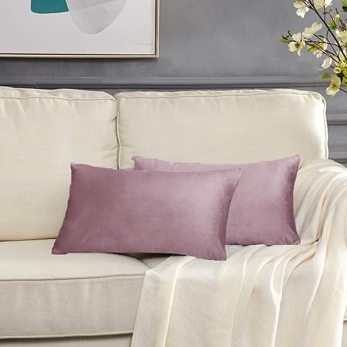 Vista 173 de GIGIZAZA - Juego de 2 fundas de almohada decorativas de 18 x 18 pulgadas, fundas de almohada cuadradas de terciopelo verde azulado pavo real