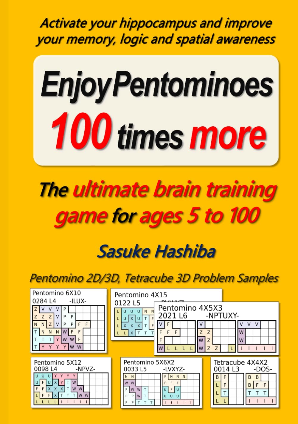 Enjoy Pentominoes 100 times more