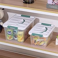 Vista 6 de Paquete de 2 cajas de almacenamiento de plástico con tapa con asa, contenedor organizador con tapa y hebillas de cierre