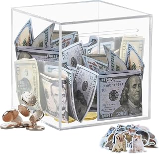 Clear and Unopenable Piggy Bank, Transparent Money Box for Cash Savings, Must-Break-to-Open Acrylic Coin Bank Change Jar for Real Money, Birthday Gifts for Kids & Adults (Square, Large)