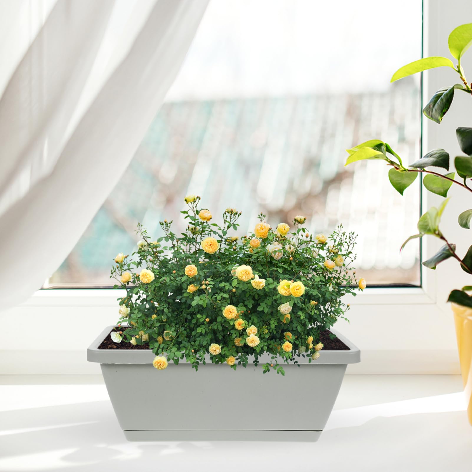 4 Stück Kunststoff Blumentopf Rechteckig Grau Kleiner Bonsai Pflanztopf Mit Abtropfschale Pflanzkübel Für Balkon Und Garten Wetterbeständig Und Langlebig