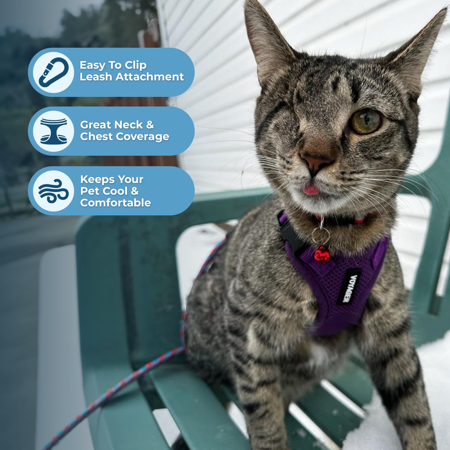 Best Pet Supplies Voyager Step-in Lock Harnais pour Chat et Laisse réfléchissante avec poignée en néoprène – Convient aux Chats de Petite, Moyenne et Grande Taille, Violet, Taille XS – 1,5 m