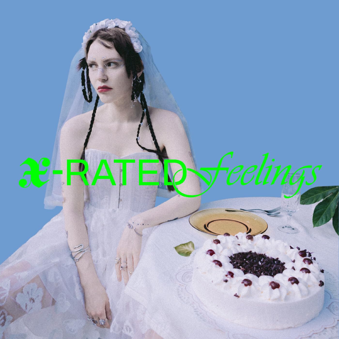 X-RATED feelings [VINYL]