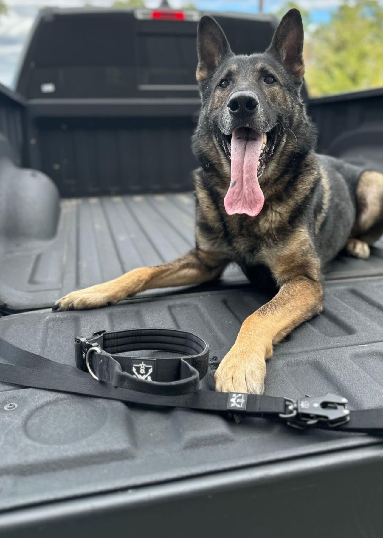 Operation Good Boy Collar táctico (negro) – Duradero y fuerte – Incluye hebilla de liberación rápida y mango de grado militar
