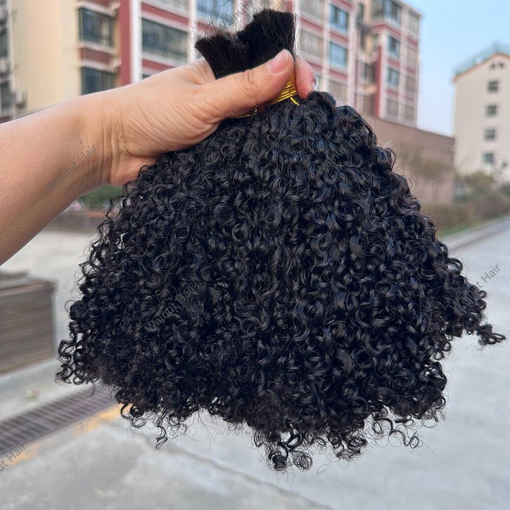 Afro Kinky Curly Bulk Human Hair Extensions Double Drawn Brazilian Virgin Braiding Hair For Boho Box Braids Afro Kinkys Crochet Hair Walnut hair 95-100g 12Inch