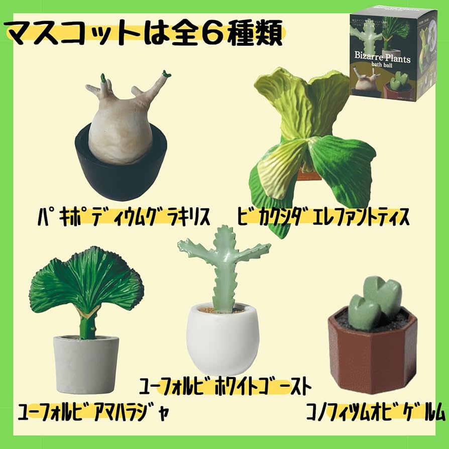 ビザールプランツバスボール24個1箱BOX付き