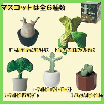 Amazon | 【6個セット+泡立てネット付き】ノルコーポレーション