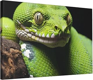 UNIOND Cute Green Tree Python Print Canvas Wall Art Frameless Art Painting Decorative Posters For Office Bedroom Living Room 12 X 18 Inch, White