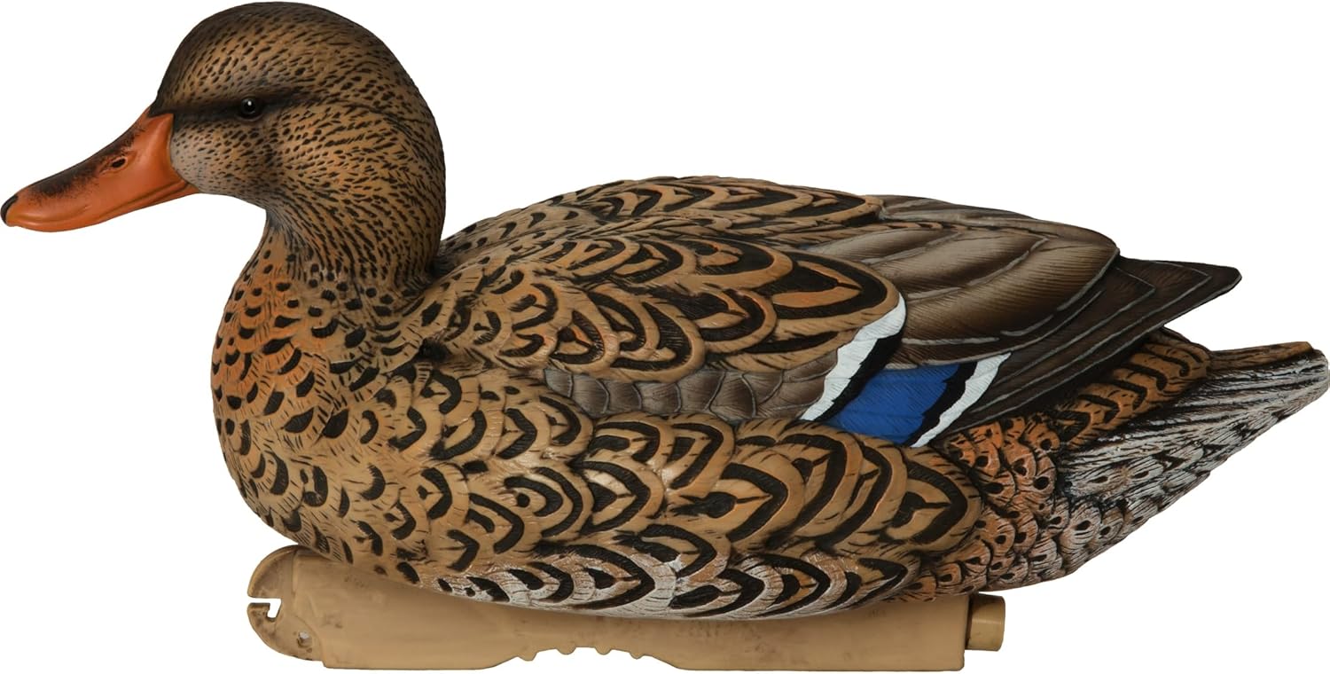 Avery PG XD Series Mallards-Active Pack (1/2 Dozen)