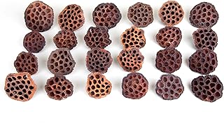 Dried Lotus Pods Pack of 25 Pods for Floral Arrangement and Home Decor,N...