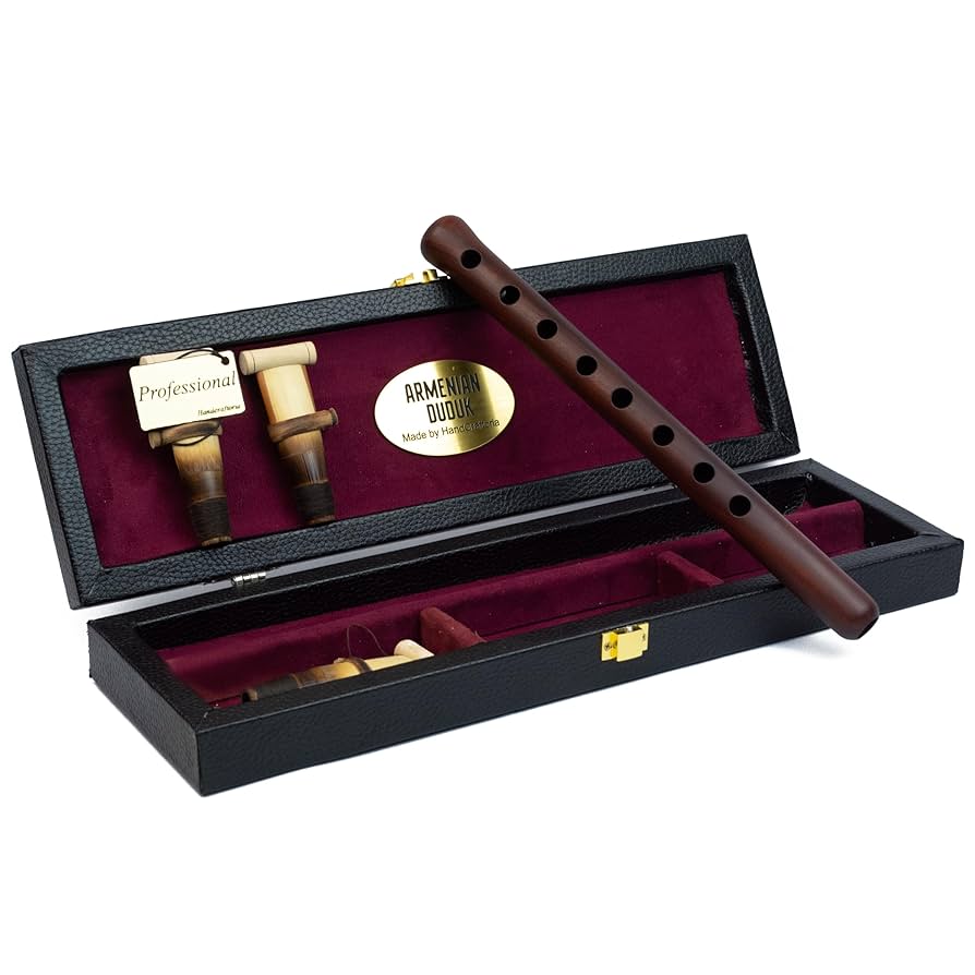 Amazon.com: 專業亞美尼亞DUDUDUK 樂器,來自杏木,木箱覆蓋皮革,1