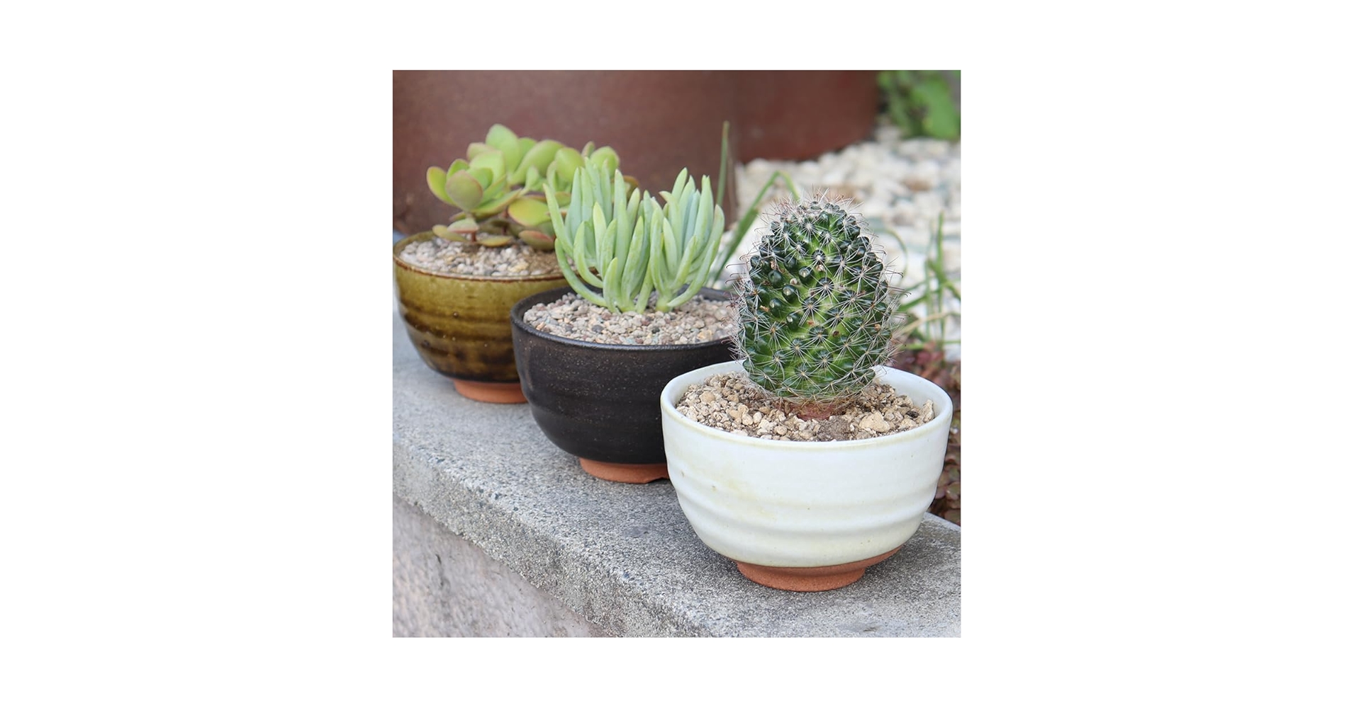 Amazon.co.jp: しがらき焼 植木鉢 陶器 おしゃれ 山草鉢 屋外