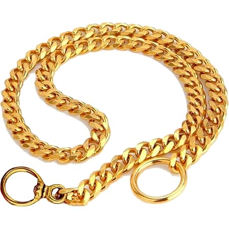 choke chain dog training