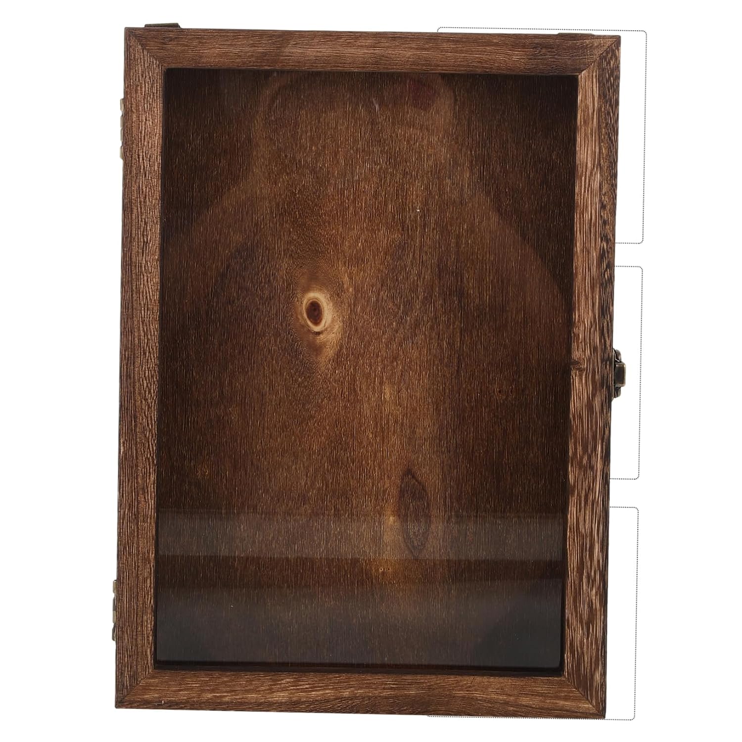 Veemoon Butterflies Specimen Display Box Wooden Collection Case Storage Hanging