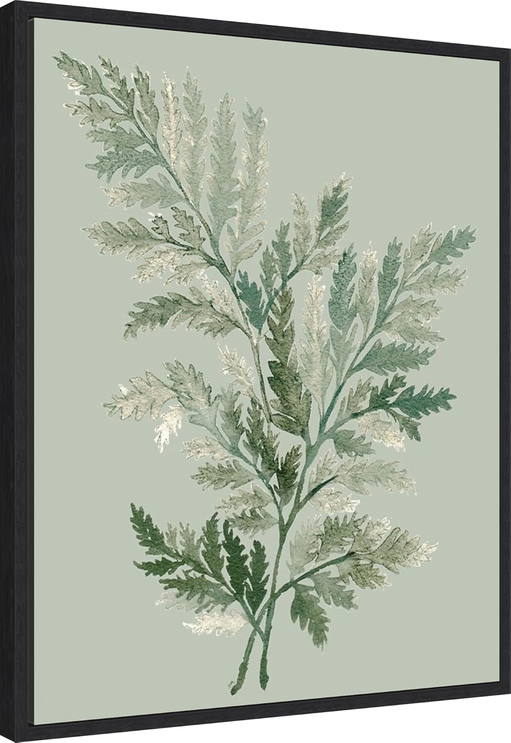 Amanti Art Framed Canvas Wall Art 28x23 Tonal Green Ferns I by Elizabeth Medley, Framed Wall Art Canvas, Nature Artwork, Modern Decor, Medium Poster Painting for Living Room, Bedroom, Bathroom,