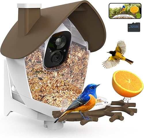 Miniatura 17 de birdsnap® MON - Comedero para pájaros con cámara, video desmontable de 2K en vivo con tarjeta de 32GB, horquilla para frutas, identificación de
