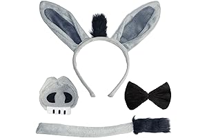 Shrek Costume for Men Accessories Set