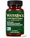 waterback magnesium oxide Top1商品