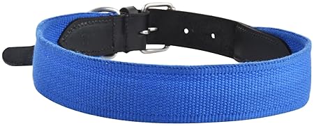 Best Buddy dogs collar belt, dogs collar