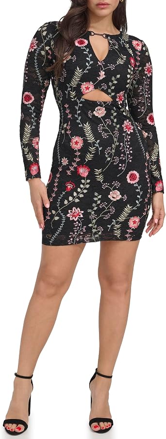 Siena Long Sleeve Embroidered Mesh Mini Cutout Dress