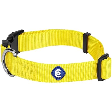 yellow dog collars