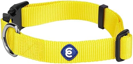 blueberry collars amazon