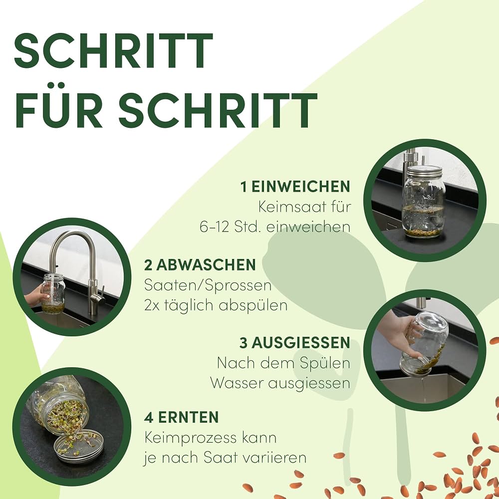 Green SEEDS Kit Germoir 3 Bocaux 1000ml Acier Inoxydable + Support + Bol Céramique + E-book