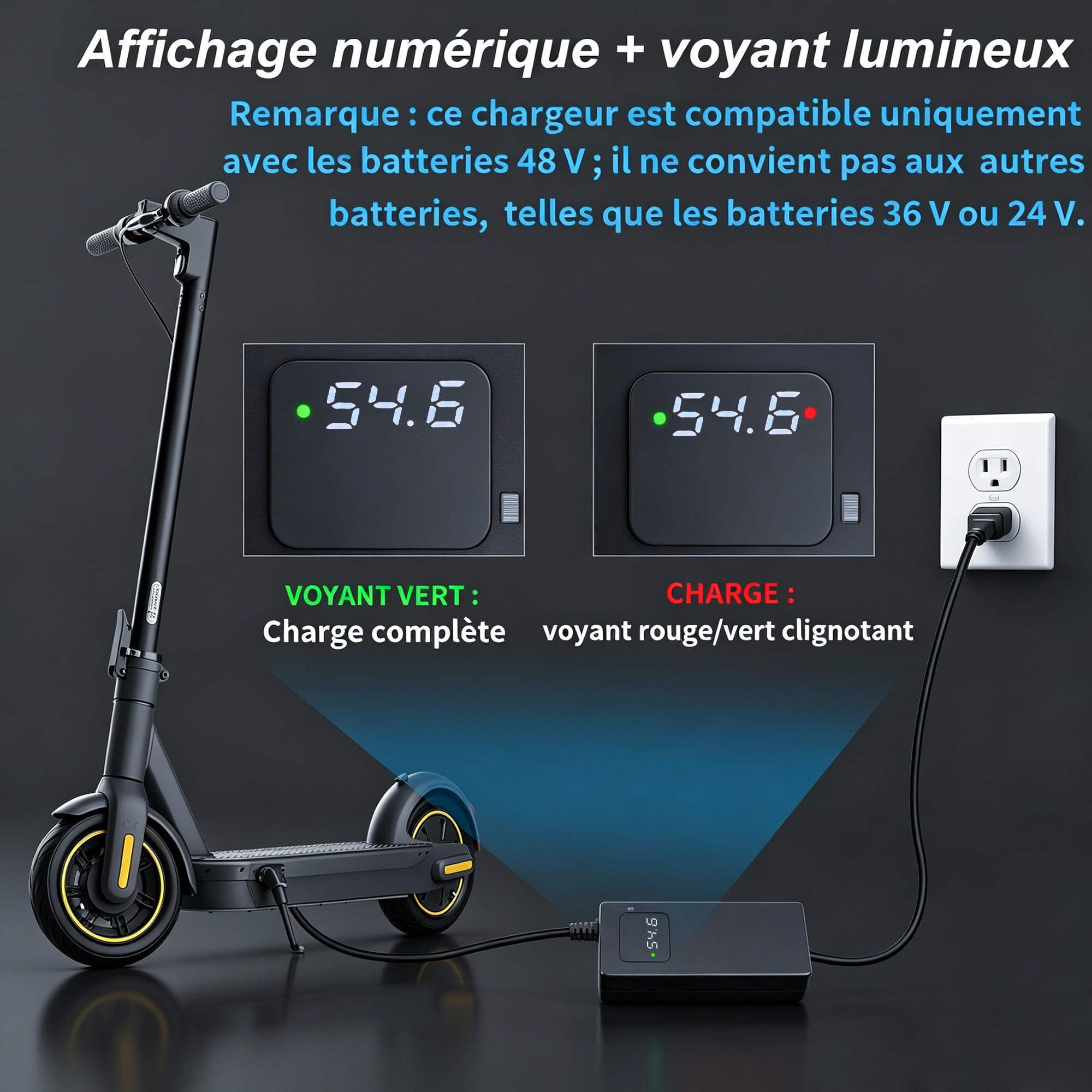 Cargador 54.6V 2A para Scooter Bicicleta Eléctrica, Compatible con Baterías de Litio 48V 13S3.2V, Con Pantalla LED Y Enchufes RCA 8MM Y 5.52.5/2.1Mm