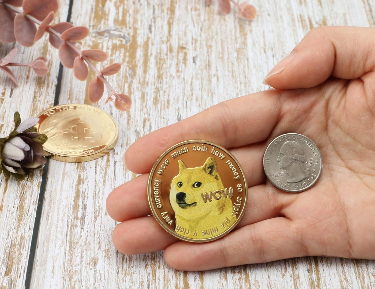 Physical Dogecoin Coin Décor 24K Gold Plated Madagascar | Ubuy