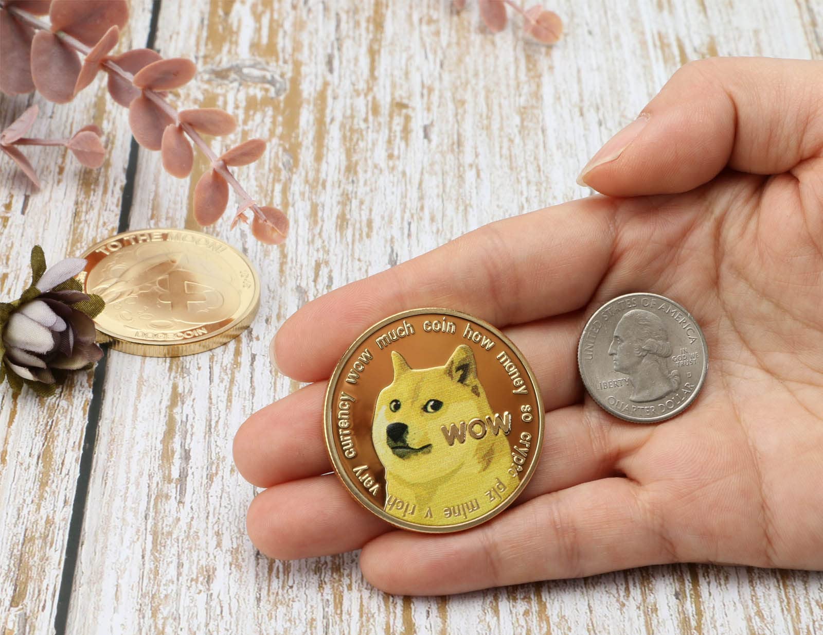 Shiba Coin Gold & Silver Physical Crypto Coin Set - Bitcoin, Ethereum,  Dogecoin, Shiba Inu Display Collection Bitcoin Bills