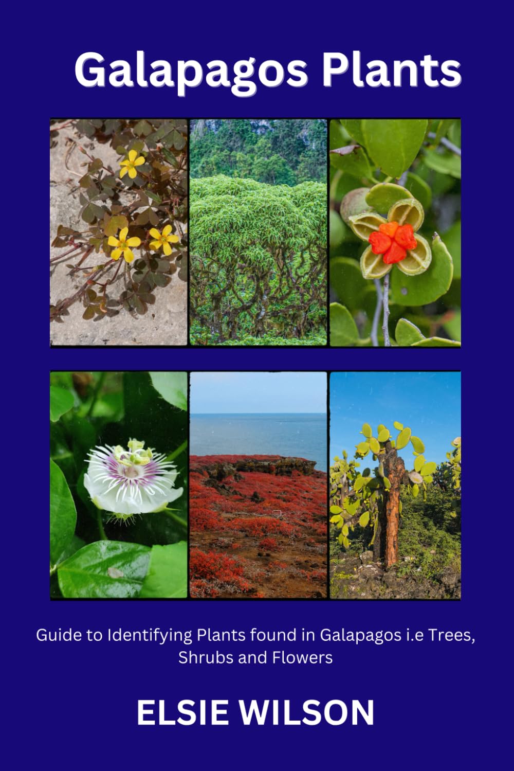 Galapagos Plants: Guide to Identifying Plants found in Galapagos i.e  Trees,Shrubs and Flowers : Wilson, Elsie: Amazon.com.be: Books