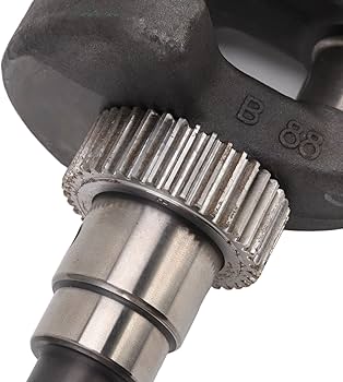 71-RZuLrbKL._AC_UF350,