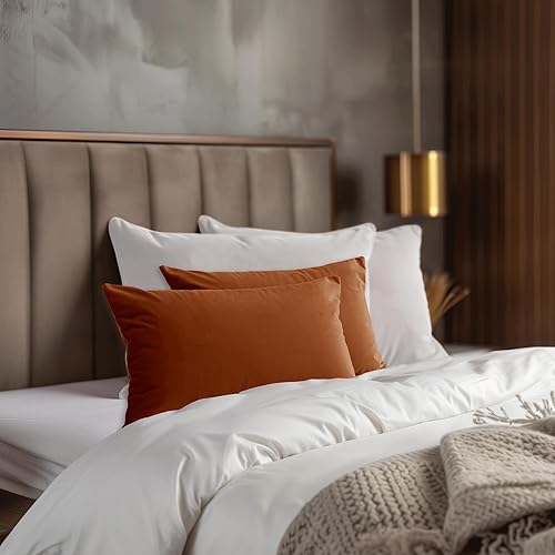 StangH Juego de 2 fundas de almohada lumbar de terciopelo rectangular suave, decoración bohemia para sofá del hogar, fundas de cojín decorativas StangH Juego de 2 fundas de almohada lumbar de terciopelo rectangular suave, decoración bohemia para sofá del hogar, fundas de cojín decorativas