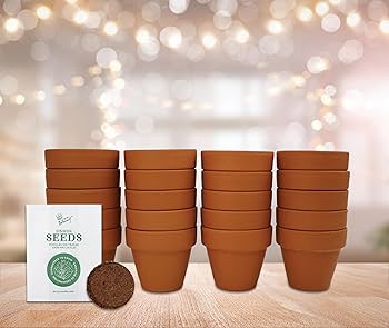 Amazon.com : BUZZY Seeds Spruce Terracotta Mini Grow Pots – Indoor