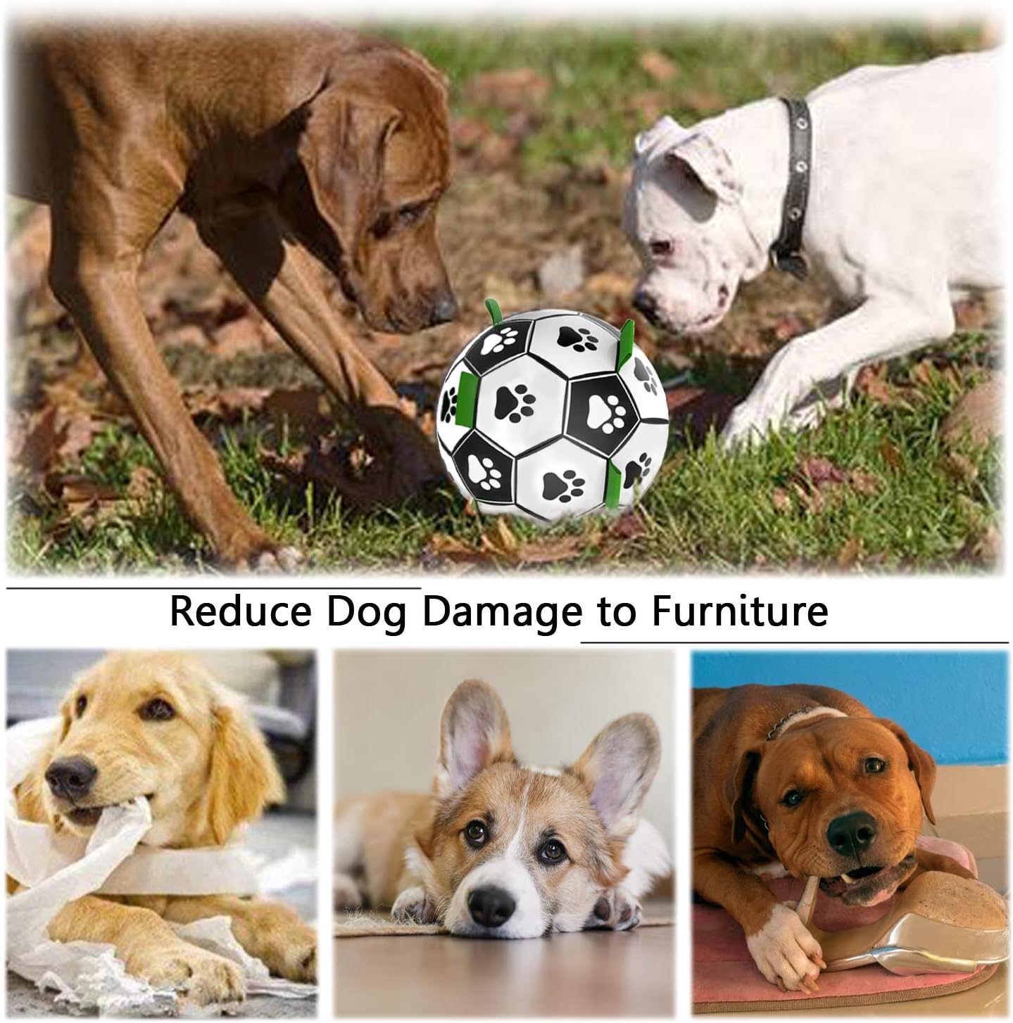 Dog Soccer Ball with Grab Tabs Interactive Dog Toy Dog Water Toy Dog Toy Ball for Small & Medium Dogs