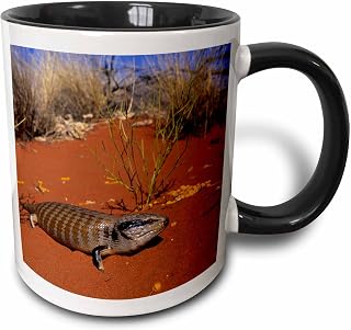 3dRose Blue-tongued Skink lizard, Ayers Rock, Australia.-AU01 KSC0014 - Kevin Schafer 11oz Two-Tone Black Mug