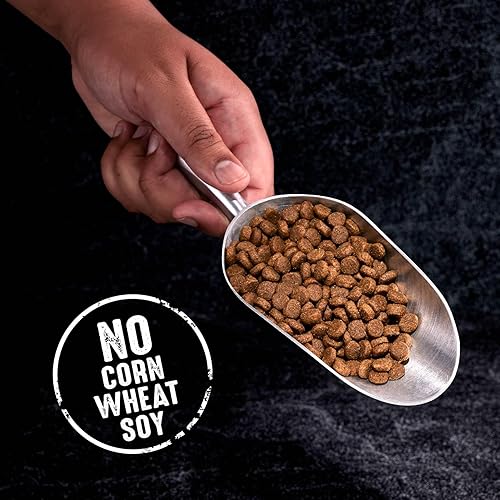 Miniatura 8 de Crave Comida con proteína para perros, libre de granos, adulto