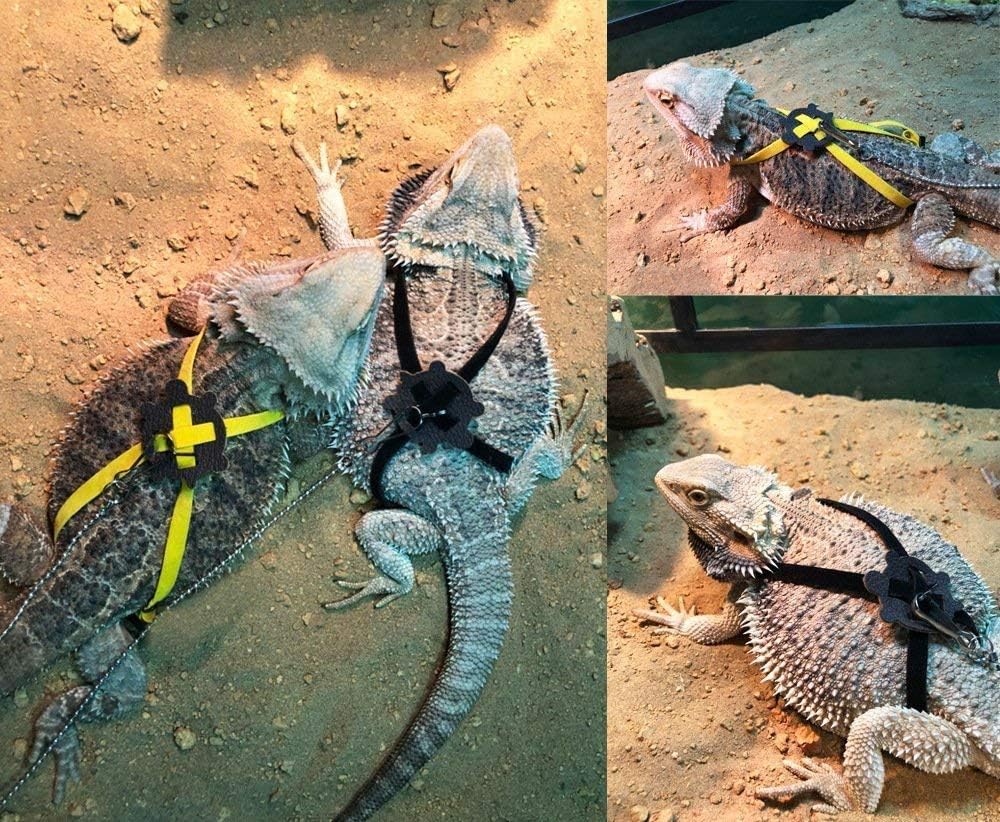 Lizard Leash Bearded Dragon Harness Adjustable Reptile Lizard Harness Leash Parrot Harness Turtle Lizard, Suitable for Gecko Hamster Kitten Small Animal Outdoor Walking - Blue