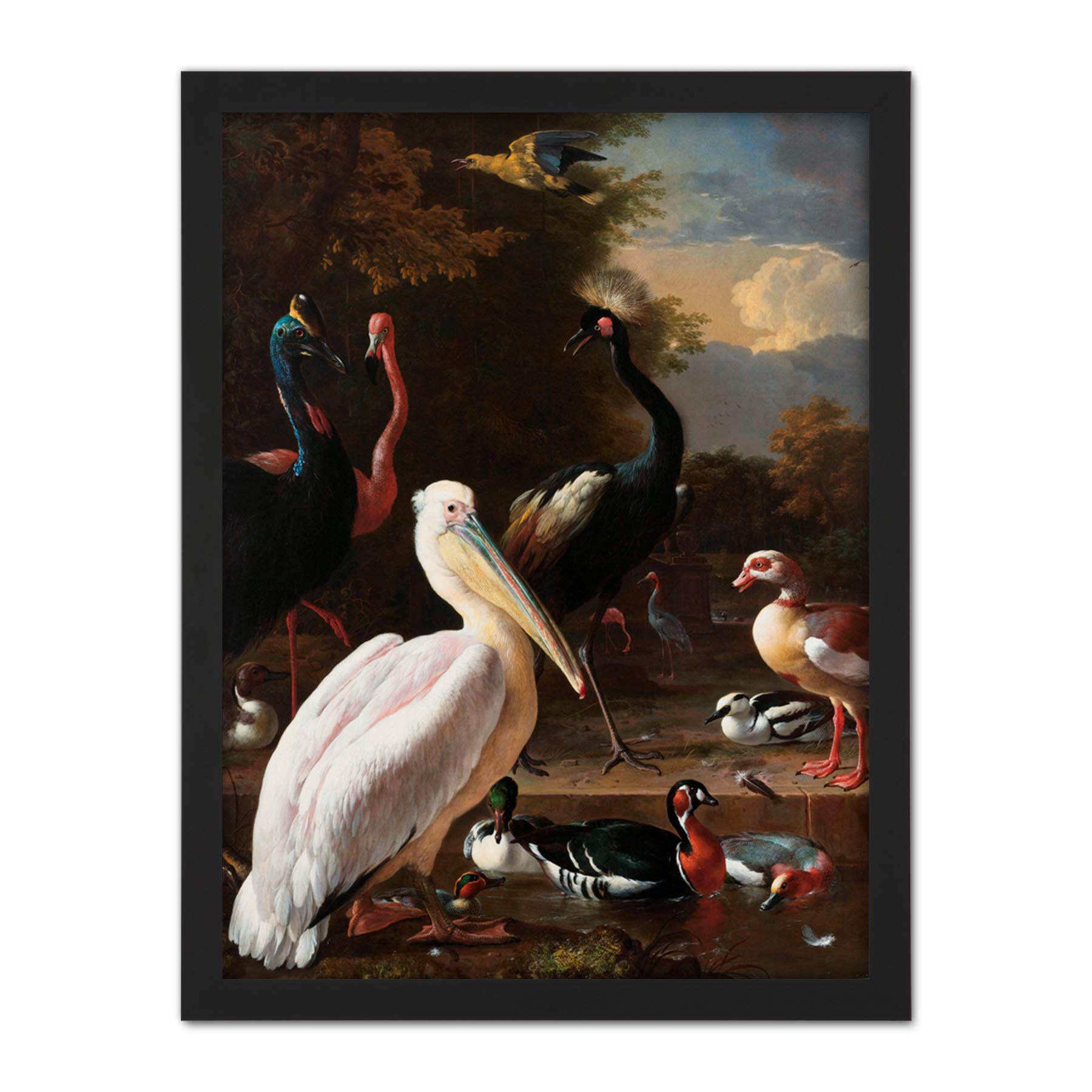 Artery8 Hondecoeter Pelican Birds Pool Floating Feather Artwork Framed Wall Art Print 18X24 Inch